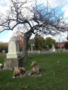 graceland cemetery chicago