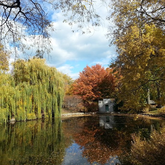 graceland cemetery lake