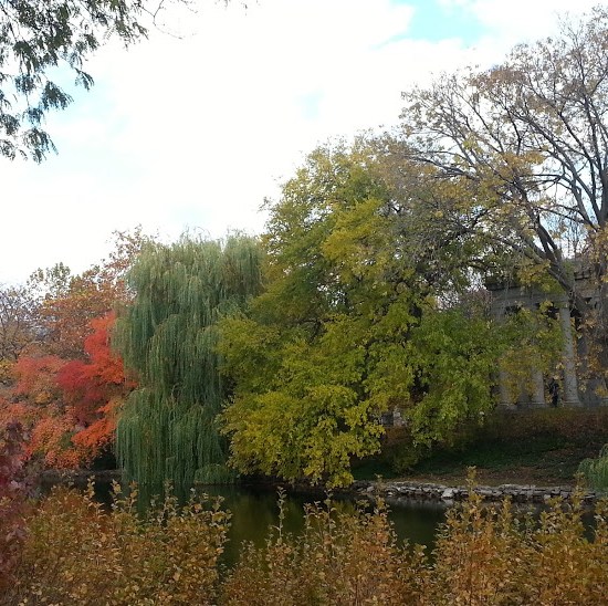 graceland cemetery lake chicago