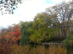 graceland cemetery lake chicago