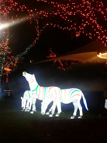 Zebra light sculptures