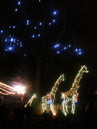 Giraffe light sculptures