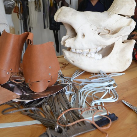 dawn korman mana contemporary artist studio leather