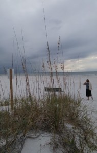 The beach at St. Petersburg