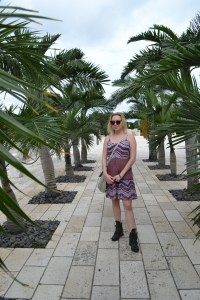 miami beach palm trees