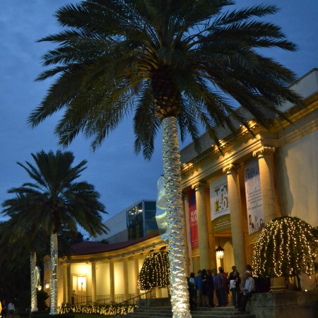 piotr janowski exhibit curiousity museum of fine art st petersburg florida polish artist aluminum reynold's wrap palm trees