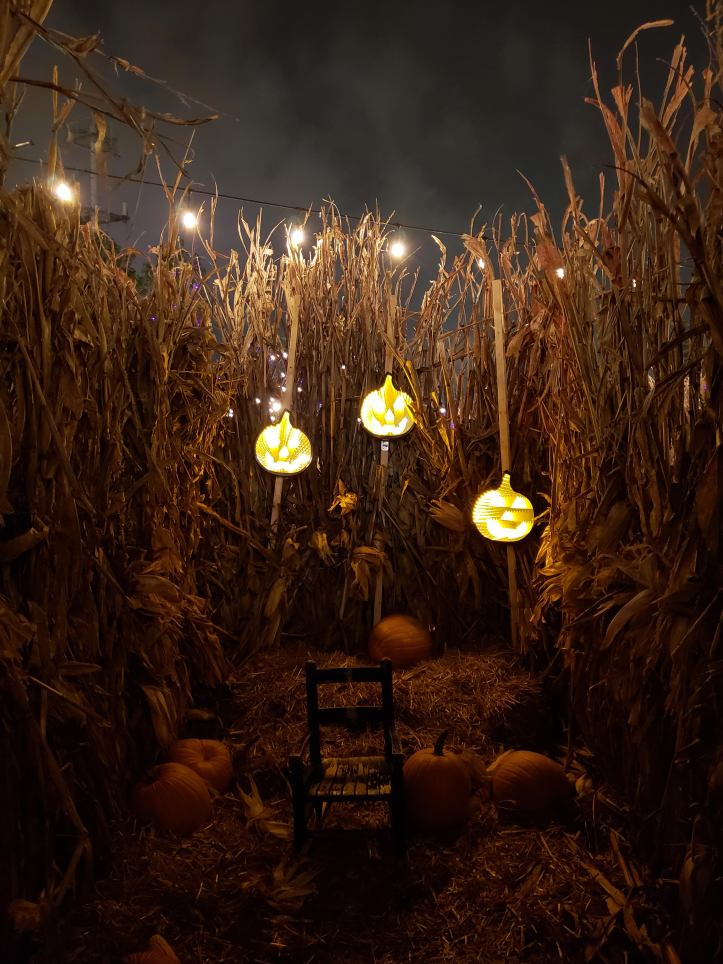 jacks pumpkin patch pop up chicago