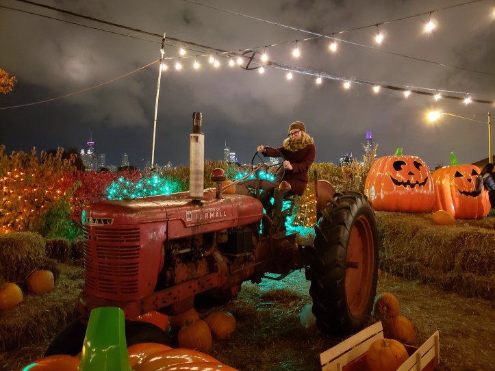 jacks pumpkin patch pop up chicago